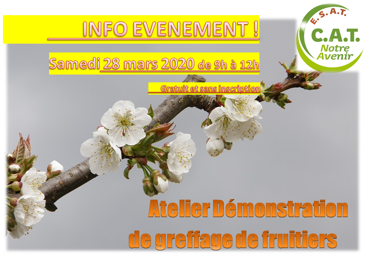 Démo greffage fruitiers 28032020