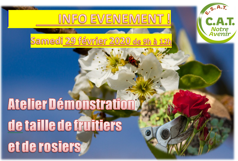 Démo taille fruitiers-rosiers 29022020